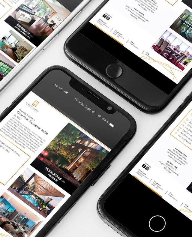 fichas-luxury-mockup fichas-luxury-mockup